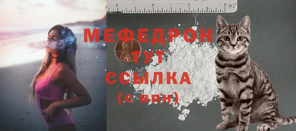 стафф Аркадак