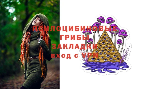 стафф Аркадак